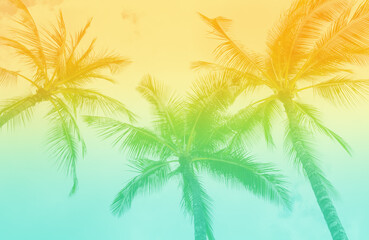 Tropical Palm Trees  with vintage retro tones. Beach Vibe background  - obrazy, fototapety, plakaty