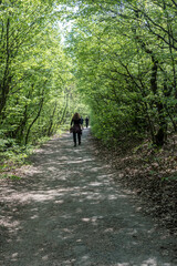 Obraz premium A person walks in the park in fresh air.