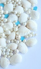 Shell Background Very Cool