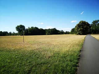 road through the field