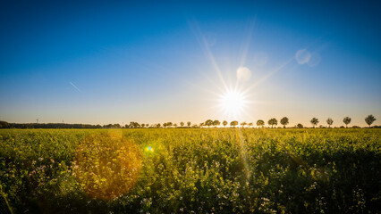 Obraz premium Wald und Flur