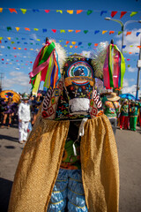 Festa do Bumba meu Boi em São Luis do Maranhão, nordeste Brasileiro. Junho de 2022 - obrazy, fototapety, plakaty