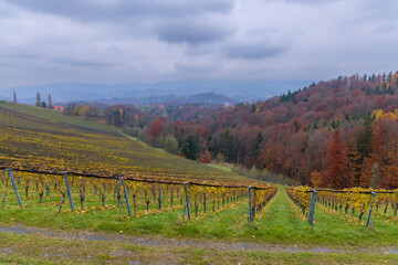 Highest vineyards in Austria near the village Kitzeck im Sausal, Styria, Austria