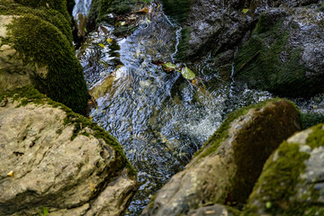 a mountain backwater among big stones