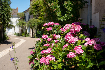 Fototapeta na wymiar Picturesque street scene with flowers, photographed in the Loire Valley, France, during the July 2022 heatwave.