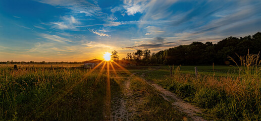 field feld