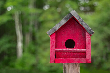 Homemade wooden birdhouse with foliage background and copy space