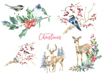 Merry Christmas Watercolor Deer, fawn,bird arrangement, bouquet, frame, scene illustration. Winter Woodland forest birds in plant,fir,twig, evergreen, berries, pine. blue tit, Nuthatch card decoration