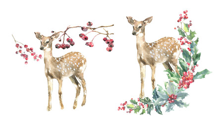 Merry Christmas Watercolor Deer, fawn in woods,forest arrangement, bouquet, frame,scene illustration. Winter Woodland forest animal card,christmas greetings,holiday, invite,flyer,poster, diy