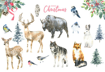 Merry Christmas watercolor illustration. Deer,fawn,stag, buffalo,wolf, fox, birds, bunny. Christmas tree, spruse,frames. Winter forest animals for greeting cards,postcard, invitation, flyer, poster