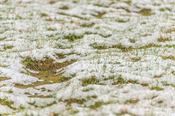 close up of snow