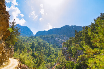 Fototapeta na wymiar Goynuk Canyon in Antalya. A canyon view with a road and forest covered hills.