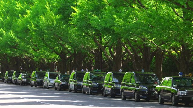 Taxis park on the row under the rows of growing fresh green Gingko trees along Jingu Gaien Gingko Tree Avenue in springtime in Jingu Gaien, Chhiyoda Ward, Tokyo Japan on April 29, 2022.