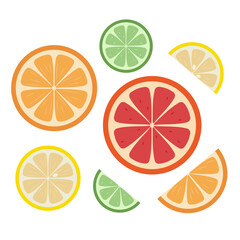 Set of citrus fruit slices