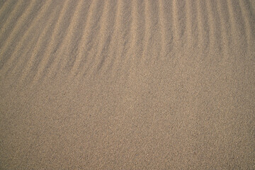 Fototapeta na wymiar sand texture. wavy sand textured background. sand textured beach