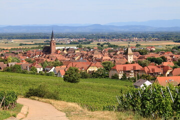 Bergheim, dans le vignoble d'Alsace, un des plus beaux villages de France