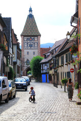 Obraz premium Bergheim, dans le vignoble d'Alsace, un des plus beaux villages de France