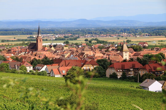 Bergheim, dans le vignoble d'Alsace, un des plus beaux villages de France