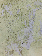 old paint on the wall