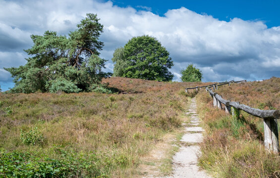 Renderklippen,  Gelderland province, The Netherlands