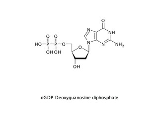 dGDP Deoxyguanosine diphosphate Nucleoside molecular structure on white background. DNA and RNA building block - nitrogenous base, sugar and phosphate.