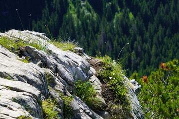 rocks on the trail way in hight mountains