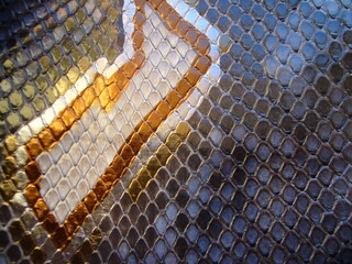 The texture of natural skin of a python, a snake.
Blue snake skin, animalistic background, print.