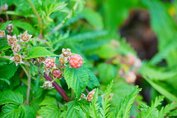 The landscape of Portland Lighthouse in Cape Elizabeth, Maine, USA	
