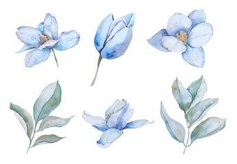 Watercolor blue opened tulip set with greenery, perfect for wedding invitation, baby shower, save the date, bridal shower, birthday party invite, blue flowers clipart