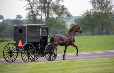 Foto op Canvas Side view of an Amish horse and buggy trotting along on the road with trees in the background   Holmes County, Ohio © Isaac