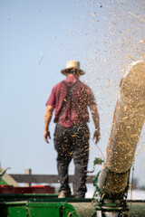 Amish man in suspenders standing beside hay spewing out of a hay shredder