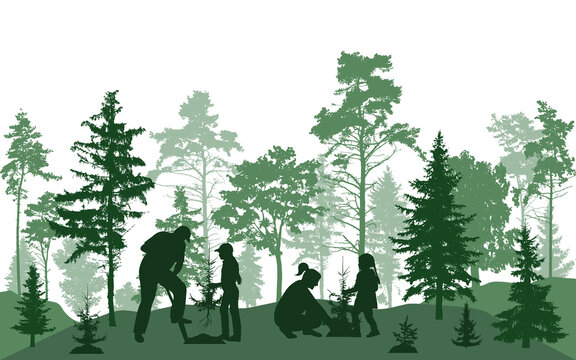 Reforestation. Man, woman and children are planting fir trees in forest, silhouette. Vector illustration