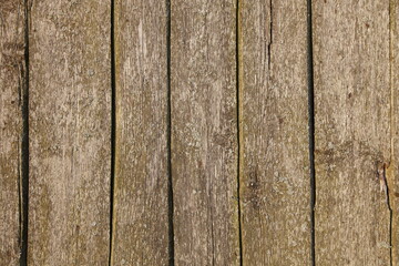 Old surface of the wooden fence. Dry vertical unpainted boards in fence use.  
