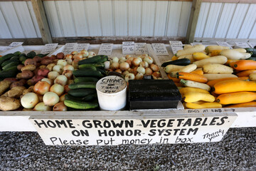 Honor System Farmers Market Table