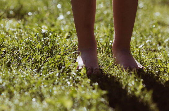 Close-up of a barefoot child walking on a grassy lawn in a park. The concept of a healthy lifestyle, freedom and outdoor recreation.