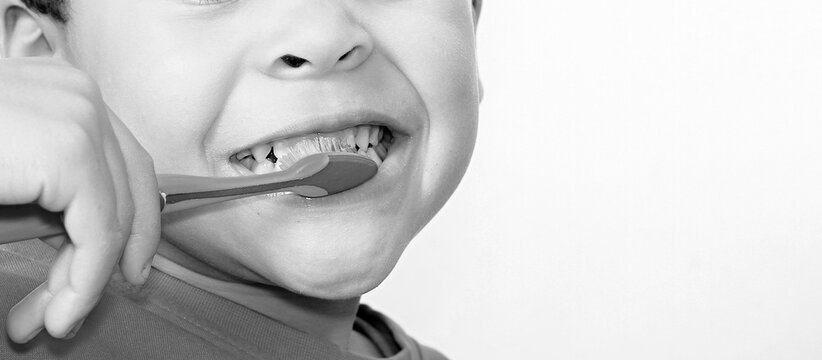 little boy brushing his teeth with an electric tooth brush stock image with white background with people stock photo  