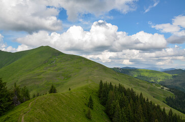 Picturesque view of mountain ridge, valley and grassland scenery in the Carpathian mountains under blue sky and white clouds