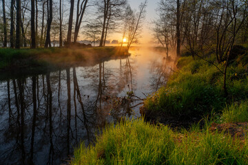 Fototapeta na wymiar spring sunrise over the river