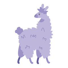 lilac llama perubian animal