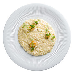 risotto with scallops and truffle oil on white plate isolated on white background top view
