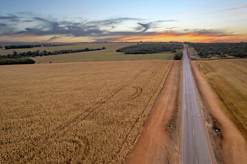 Obraz premium Estrada de asfalto no meio de plantações