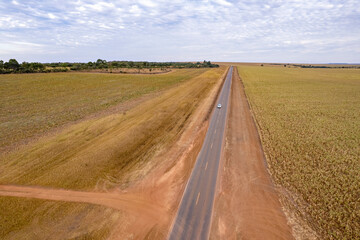 Estrada de asfalto no meio de plantações