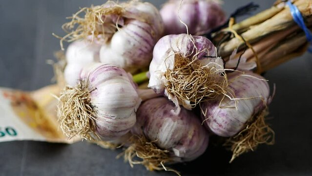 50 euros and garlics on the floor, garlic production in the world, a bunch of garlic,