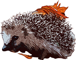 Основные RGB