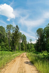 Sandy road with a right turn in a green forest. The side of the country road is overgrown with dense grass and trees. Summer sunny day in the forest. Nature landscape background