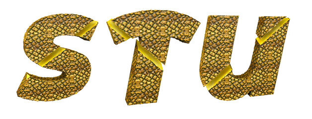 Sliced ​​pineapple alphabet. Letters S, T, U. Cut citrus fruit. Typo tropical 3D render. Save path.