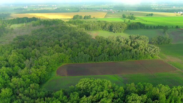 Beautiful rural wooded land for farming and hunting, aerial view.

