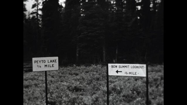 Peyto Lake 1937 - Viewing Peyto Lake, in Banff National Park, Alberta, Canada in 1937.