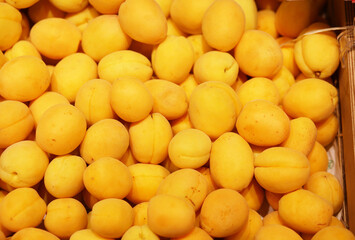 buying fruits at the market