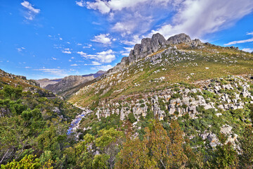 Rocky Table Mountain with trees and grass below a cloudy blue sky with copyspace. Serene, calm slope with no people in peaceful natural environment. Summit is located in Western Cape, South Africa